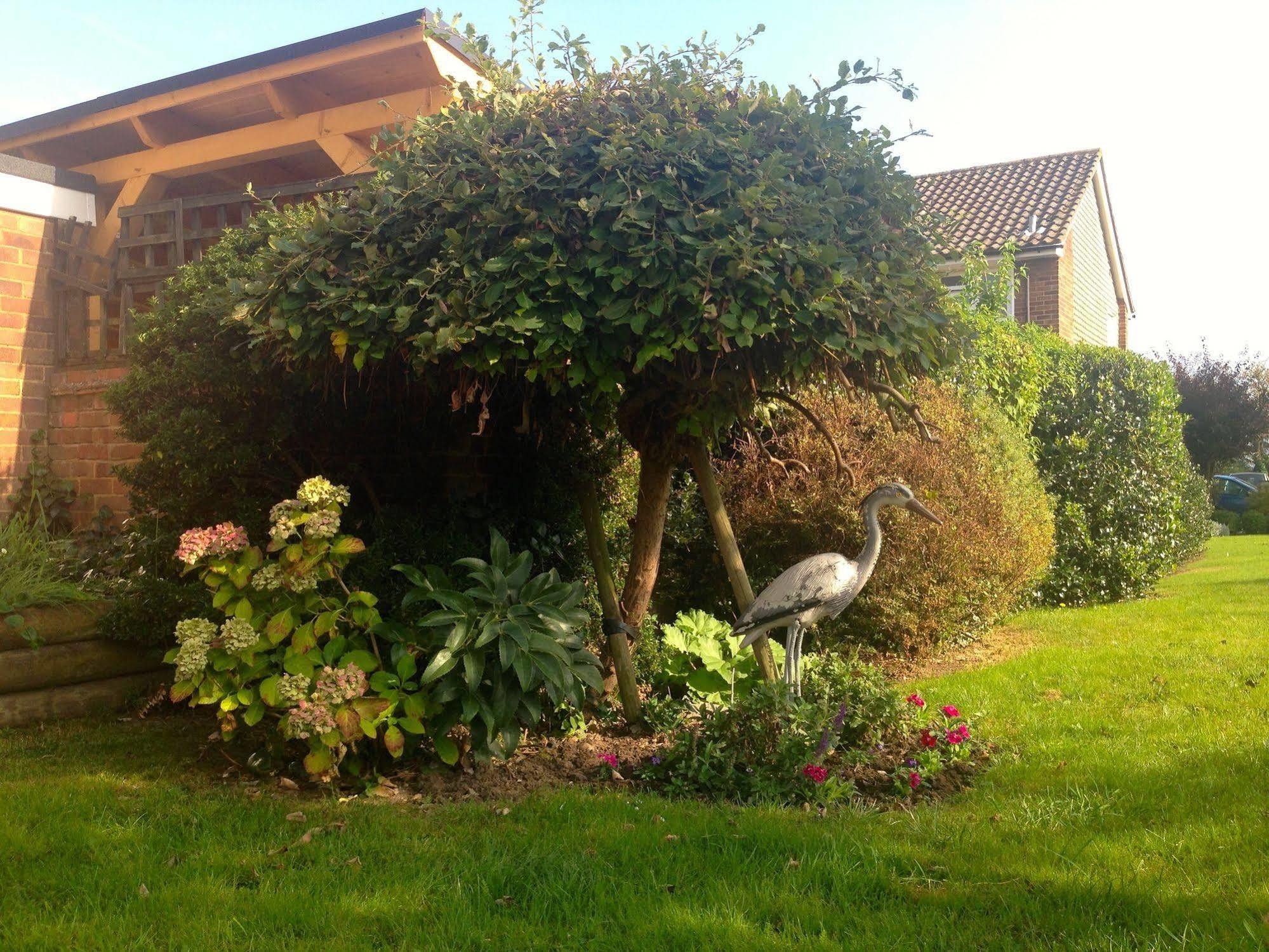 Herons Nest B&B Marlow  Kültér fotó